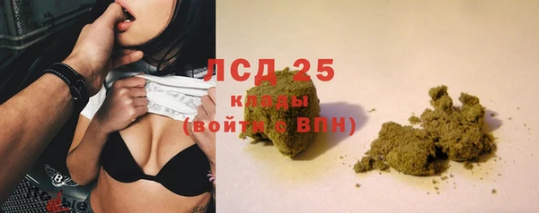 мяу мяу мука Аркадак